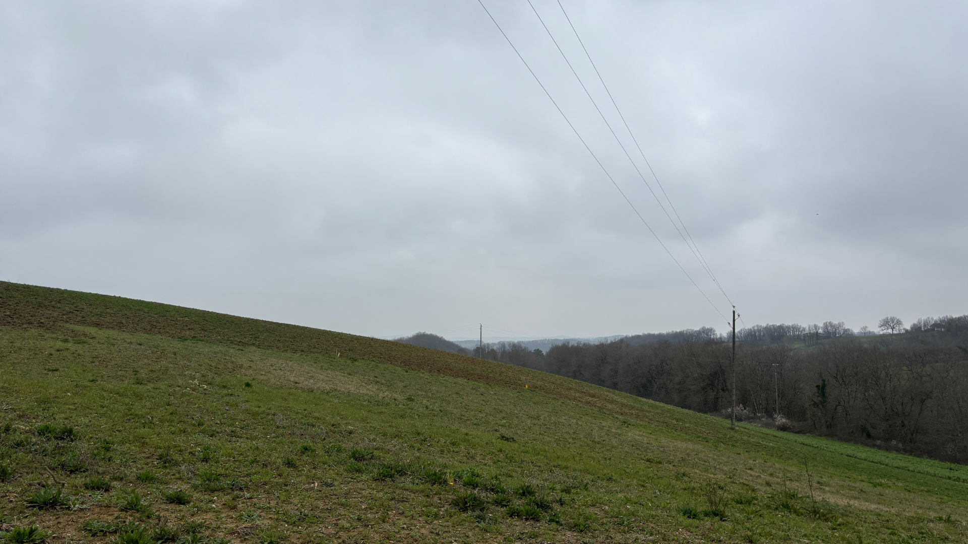Montfa 1-2